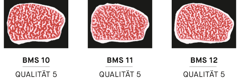 Beef Marbling Standard (BMS) der Marmorierungsgrad des Fleisches