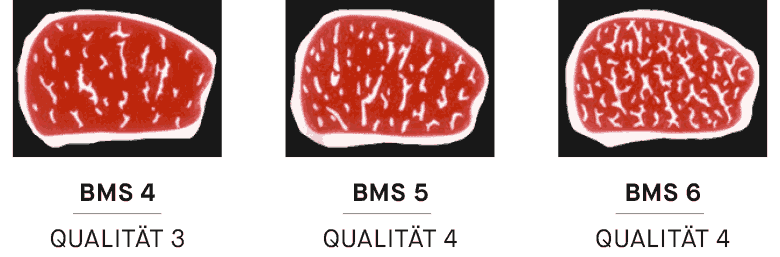 Beef Marbling Standard (BMS) der Marmorierungsgrad des Fleisches